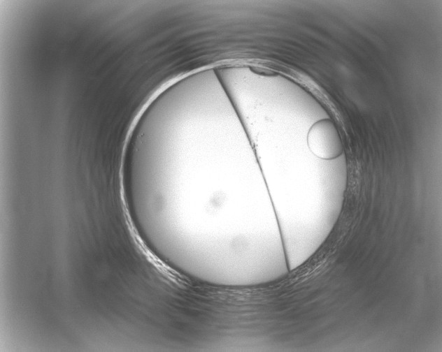 X0000051910955200507222105