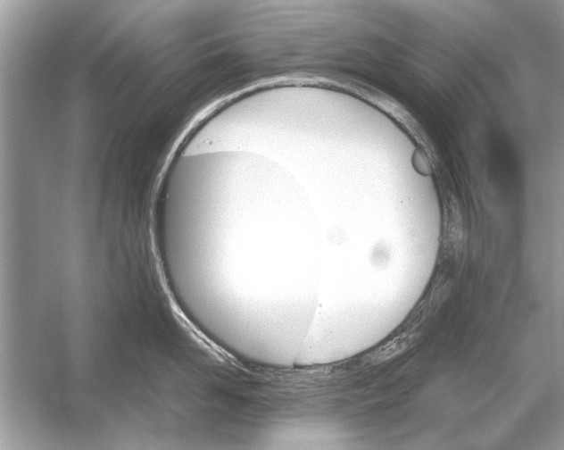 X0000051910958200507222105