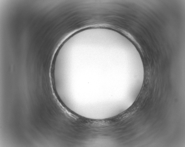 X0000051910959200507222105