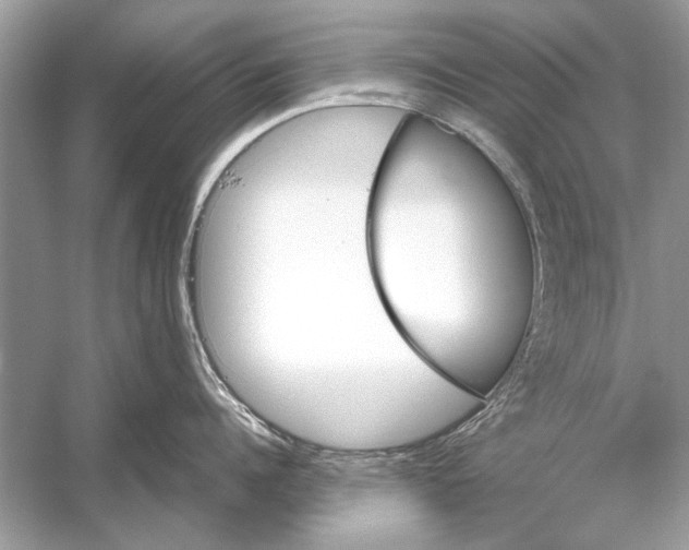 X0000051910960200507222105