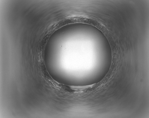 X0000051910965200507222104