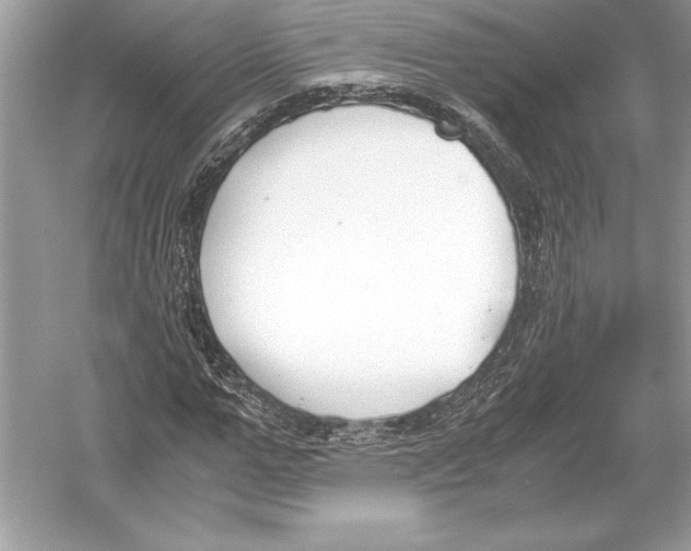 X0000051910967200507222104