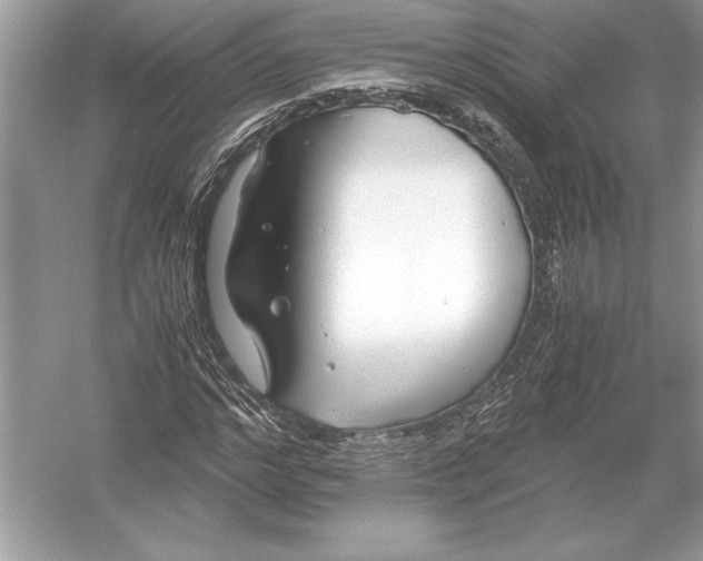 X0000051910968200507222104