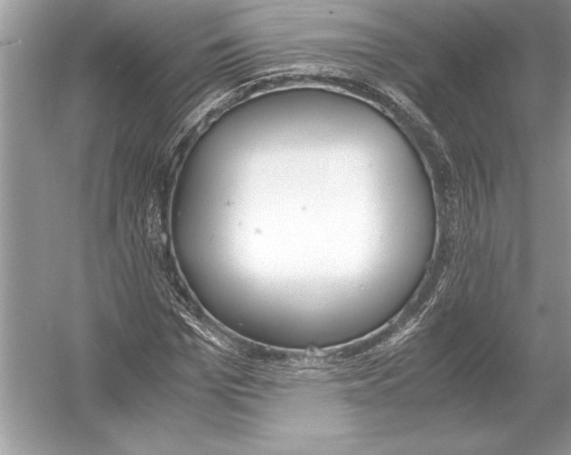 X0000051910969200507222104