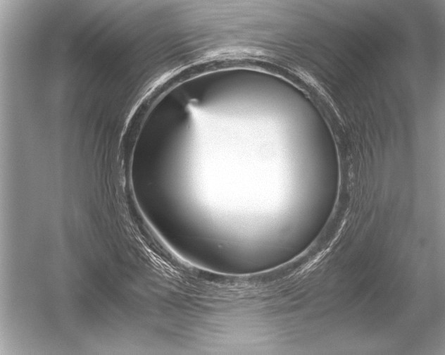 X0000051910973200507222104