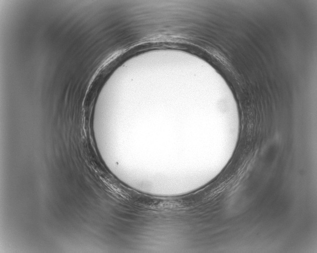 X0000051910974200507222104