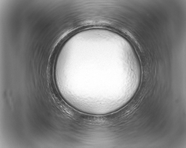 X0000051910975200507222104