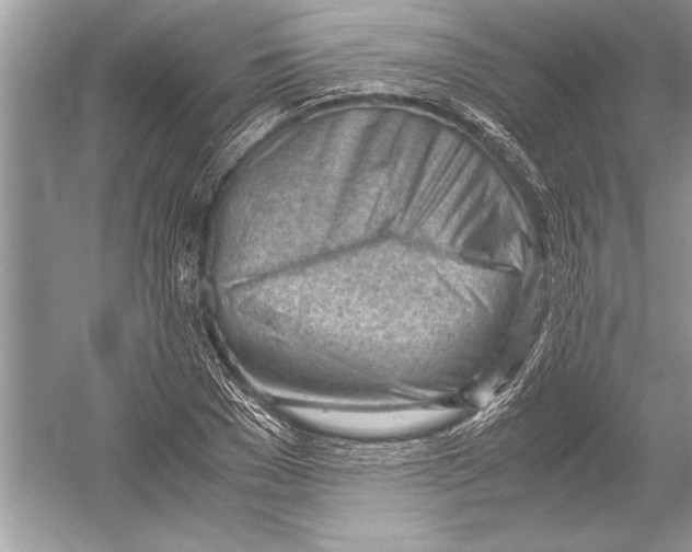 X0000051910977200507222104