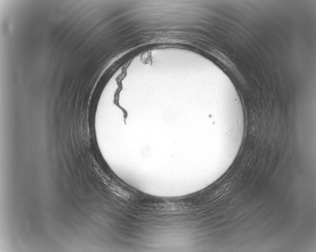 X0000051910980200507222104