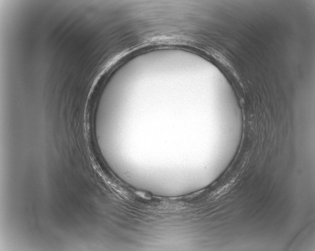 X0000051910981200507222103