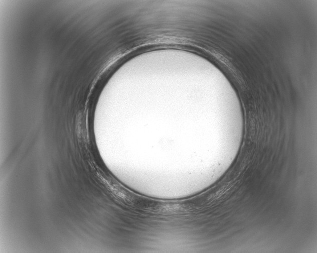 X0000051910982200507222103