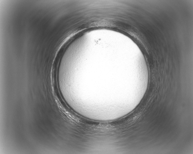 X0000051910983200507222103