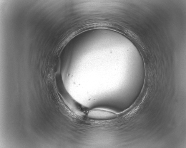 X0000051910985200507222103