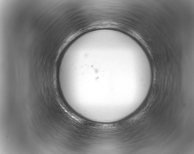 X0000051910986200507222103