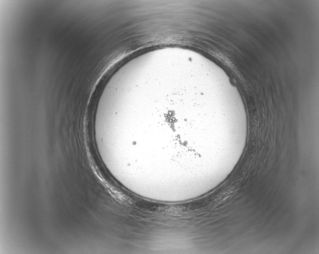 X0000051910991200507222103