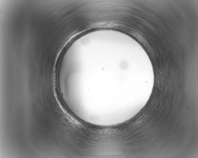 X0000051910992200507222103