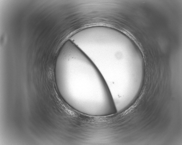 X0000051910993200507222103