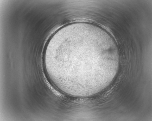 X0000051910995200507222103