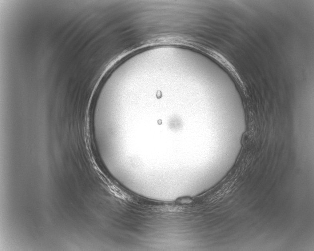 X0000051910996200507222103