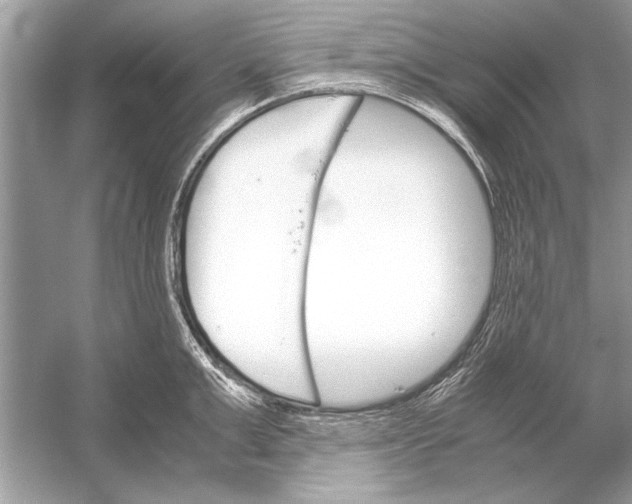 X0000051910999200507222103