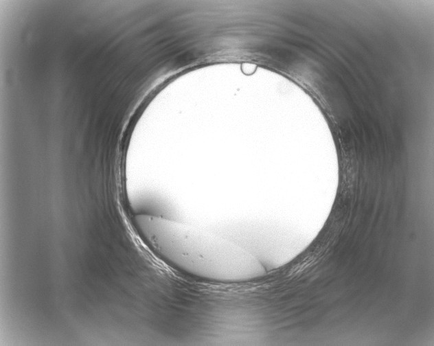 X0000051911000200507222103