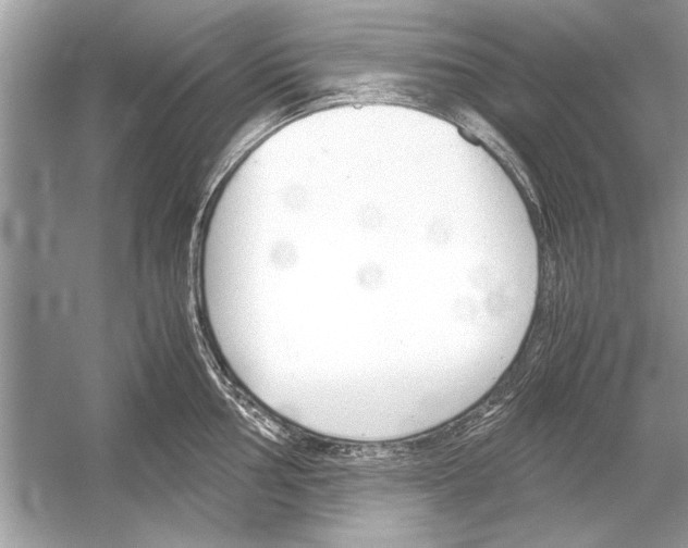 X0000051911002200507222103