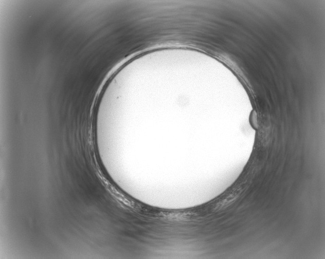 X0000051911004200507222103