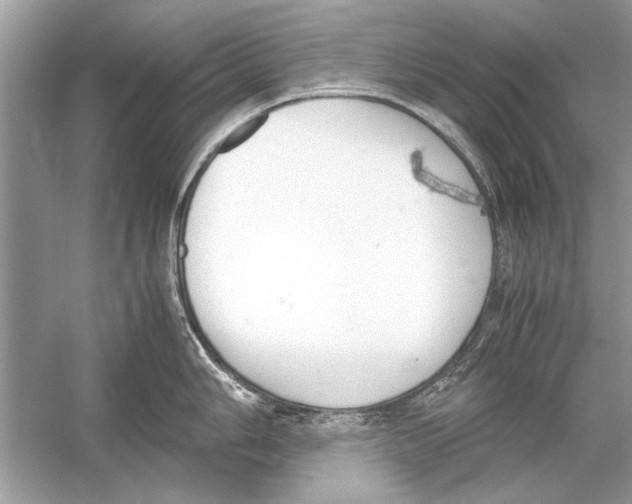 X0000051911006200507222103