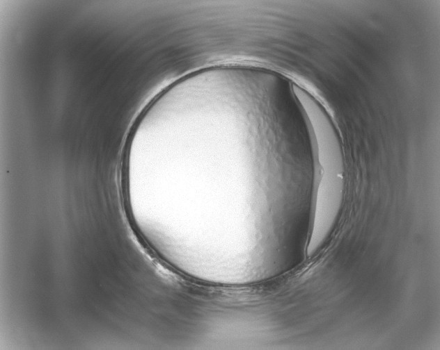 X0000051911007200507222103