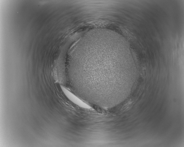 X0000051911010200507222102