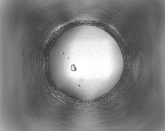 X0000051911016200507222102