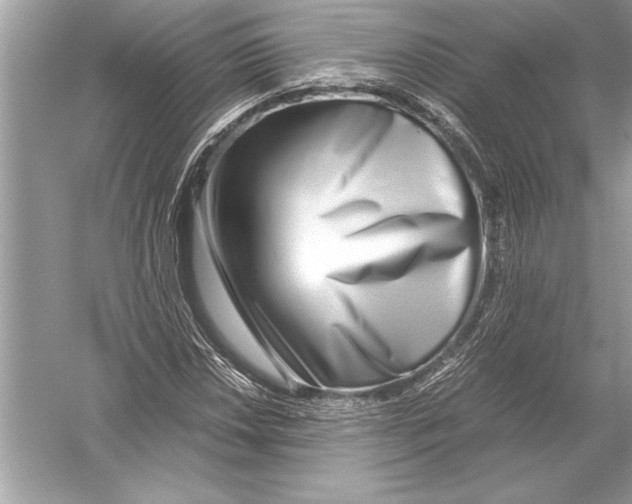 X0000051911018200507222102