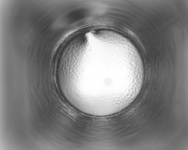 X0000051911019200507222102