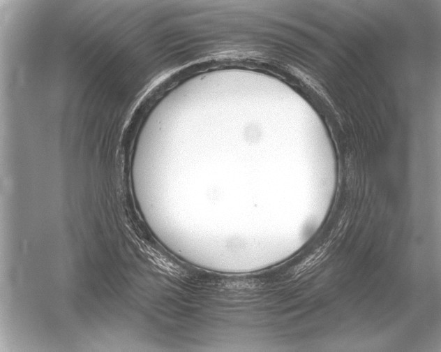 X0000051911021200507222102