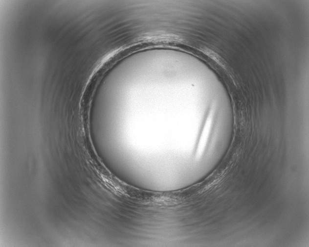 X0000051911022200507222102