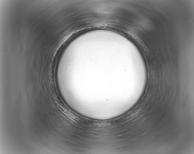 X0000051911023200507222102