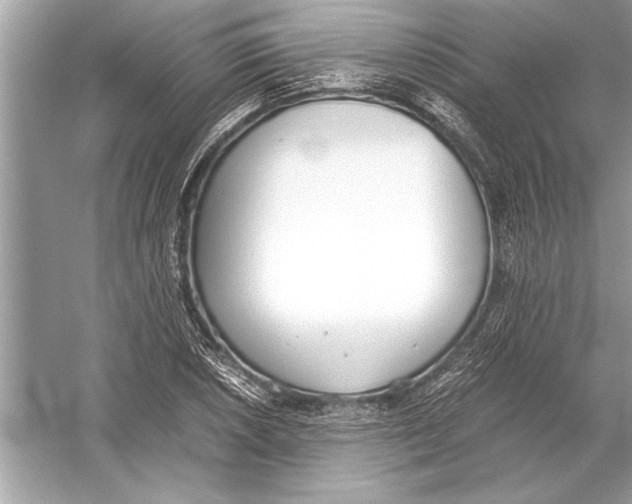 X0000051911026200507222103