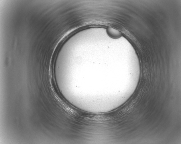 X0000051911028200507222103