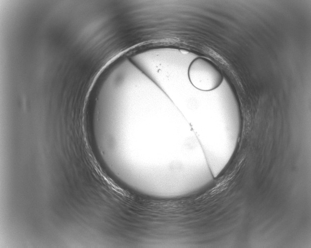 X0000051911029200507222103