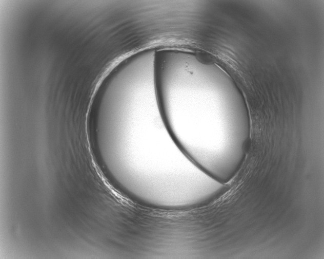 X0000051911030200507222103