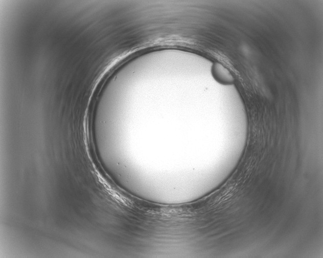 X0000051911032200507222103