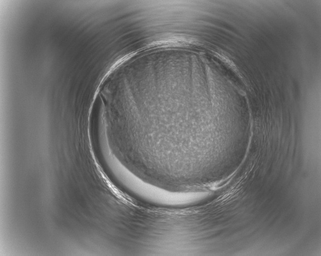 X0000051911034200507222103