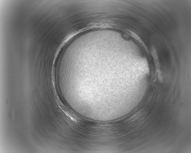 X0000051911035200507222103