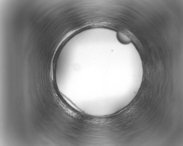 X0000051911036200507222103