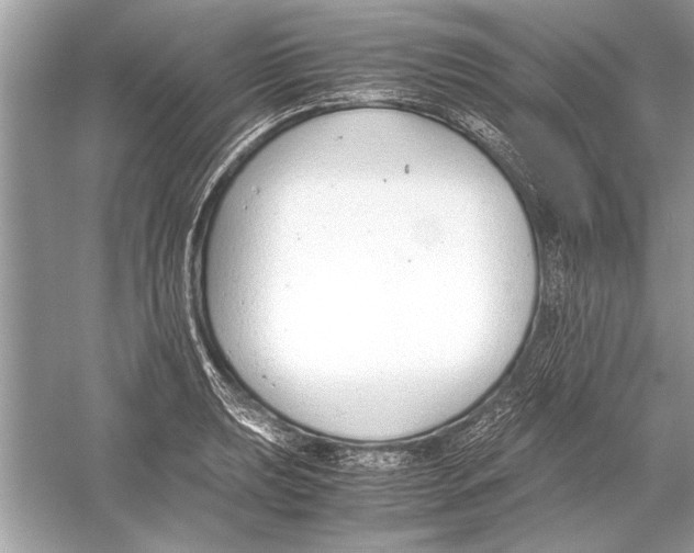 X0000051911039200507222103