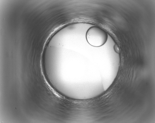 X0000051911040200507222103