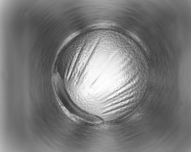 X0000051911042200507222103