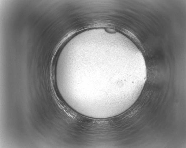 X0000051911043200507222103