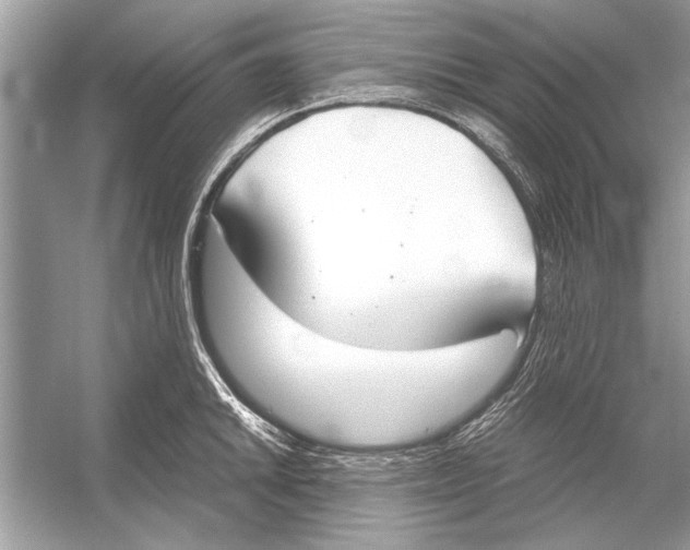 X0000051911046200507222103