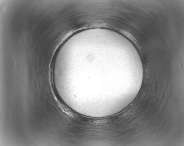 X0000051911047200507222103